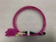 12 cordón de remiendo con varios modos de funcionamiento de los corazones MPO MTP Mtp al cable del Lc de pequeñas pérdidas
